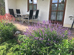 Lavendel mit Aussicht auf den Großen Arber